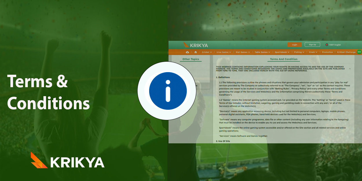 Terms and Conditions